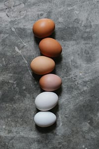 Eggs in a row