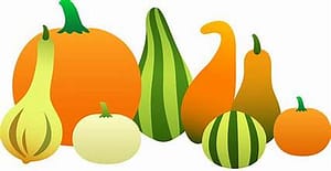 gourds