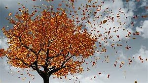 blowing leaves