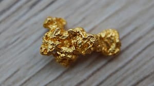 Gold Nugget