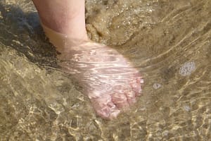 Get your feet wet