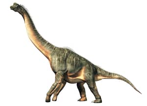 Brachiosaurus