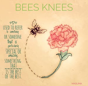 Bees knees. Bee with carnation.