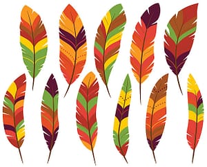 Colored feathers