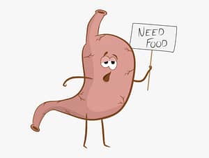 Stomach wants food